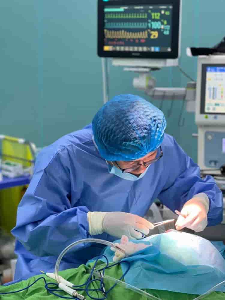 Dr. Harvard - Plastic Surgery في Danang، Vietnam تعليقات من مرضى حقيقيين
 Slider image 3