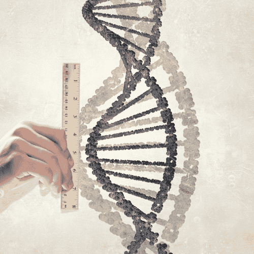 حزمة علاج الخلايا القاتلة الطبيعية للسرطان في الصين من مركز بكين بيوكوس الطبي الدولي