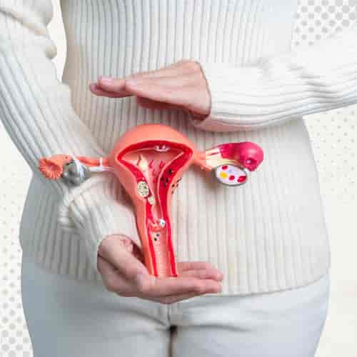 باقة علاج الخلايا الجذعية المتقدمة في تايلاند لتجديد المبيض من عيادة فيجا بانكوك