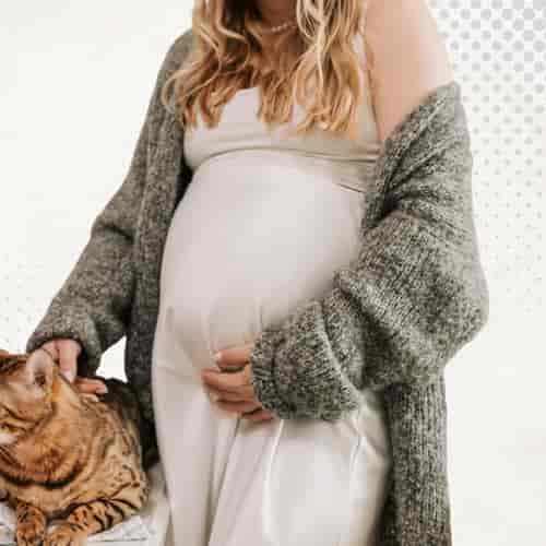 باقة تجميد البويضات في بانكوك تايلاند في مركز First Fertility PGS