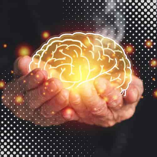 باقة علاج السكتة الدماغية بالخلايا الجذعية في كوالالمبور، ماليزيا، من شركة فيرست سيل