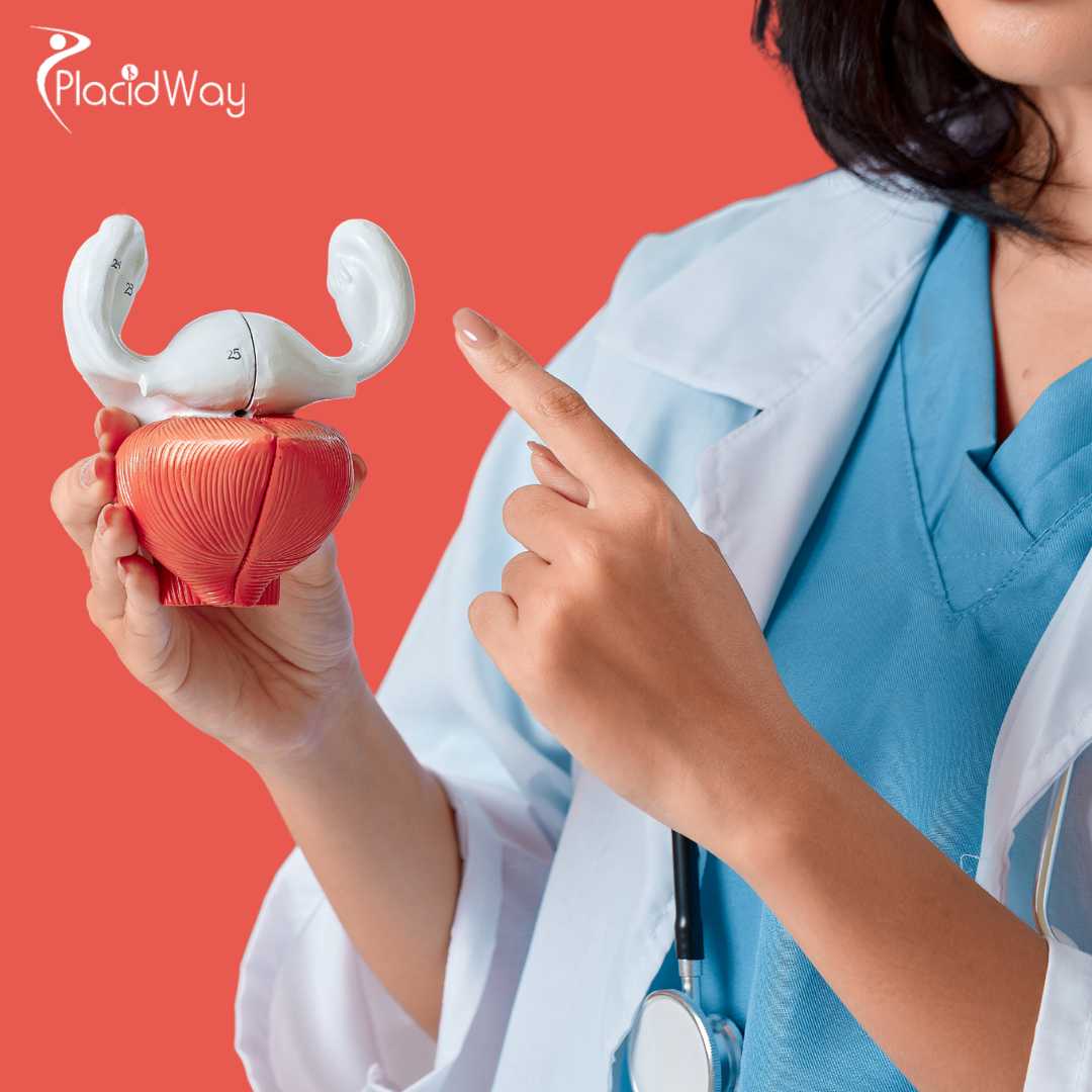 زراعة الكبد في اسطنبول، تركيا