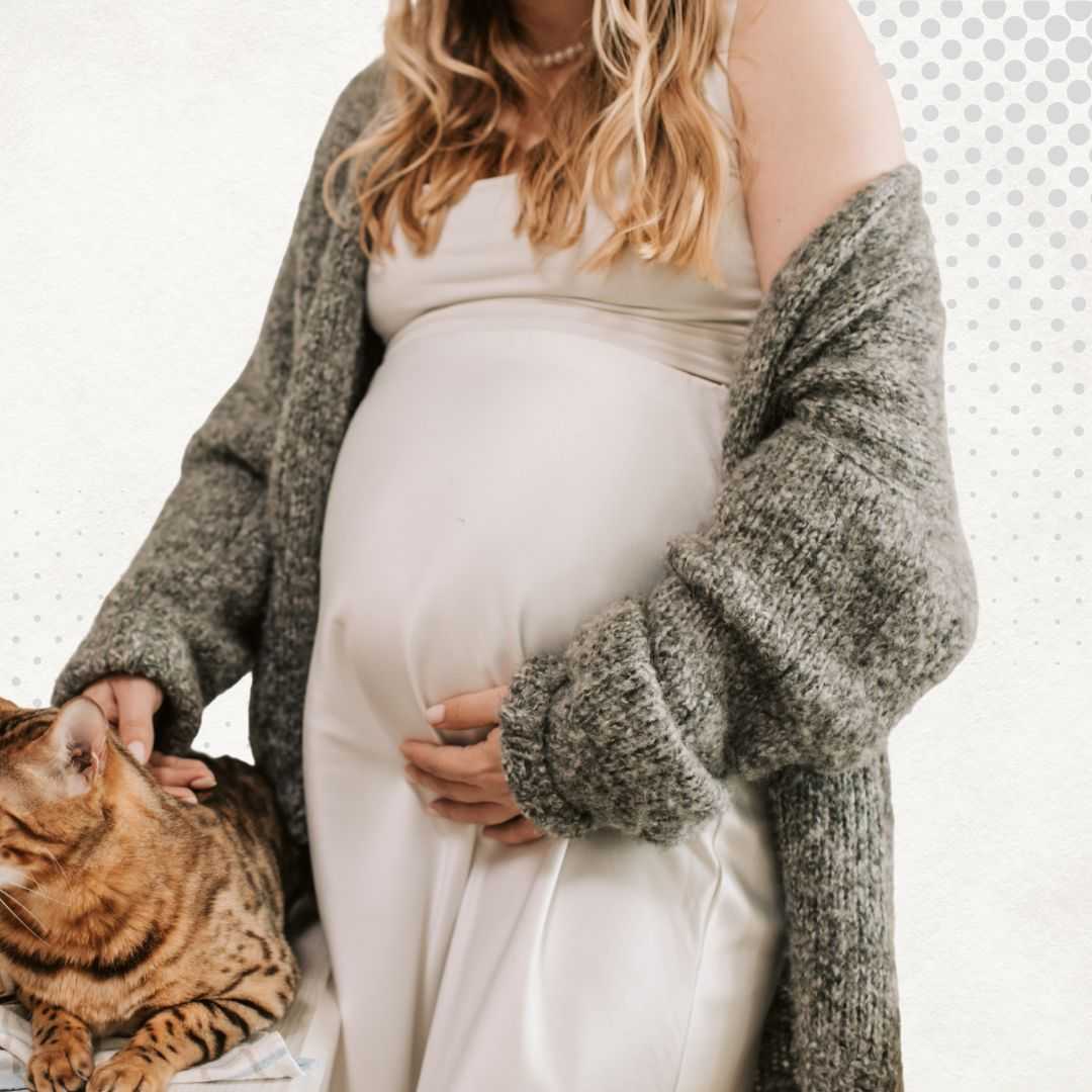 باقة تجميد البويضات في بانكوك تايلاند في مركز First Fertility PGS