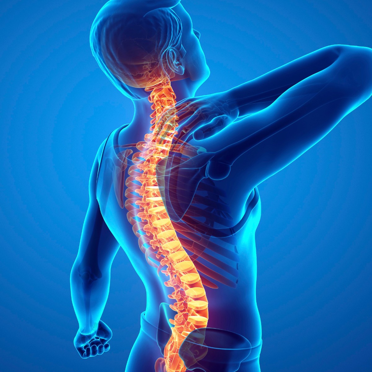 العلاج بالخلايا الجذعية لإصابات الحبل الشوكي في الهند: كيف يعمل الطب التجديدي على استعادة الوظيفة والقدرة على الحركة