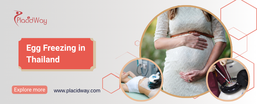 تجميد البويضات في تايلاند