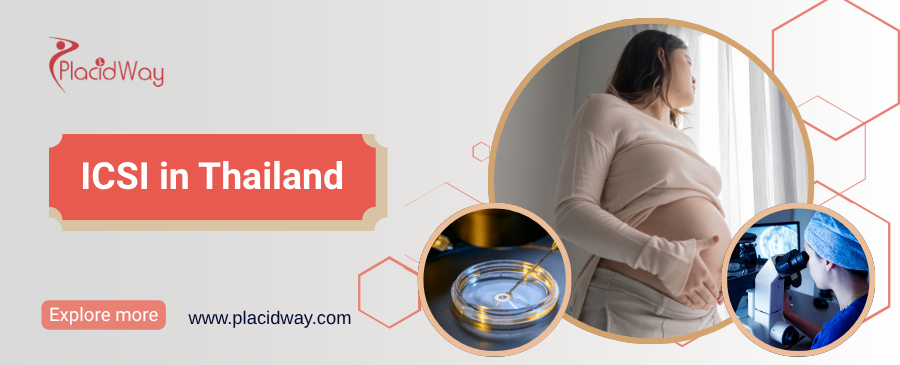 ICSI في تايلاند