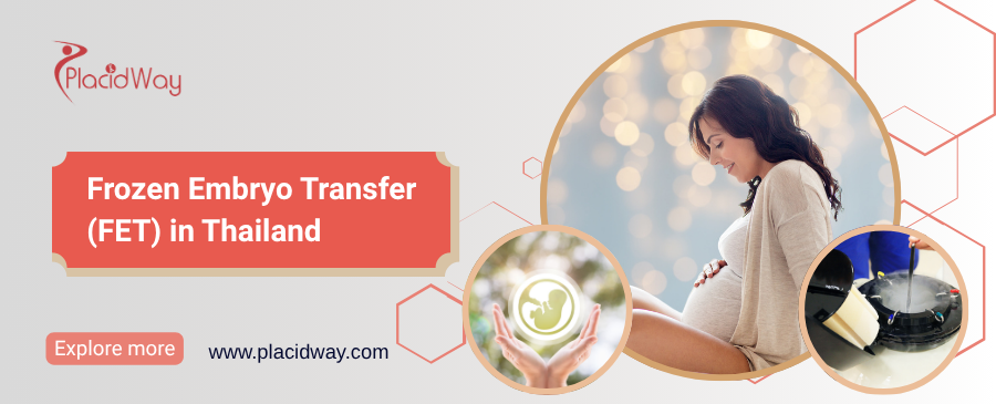 نقل الأجنة المجمدة (FET) في تايلاند