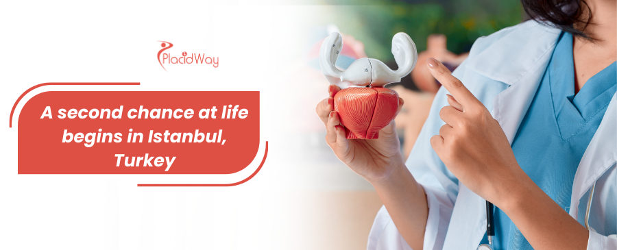 زراعة الكبد في اسطنبول، تركيا