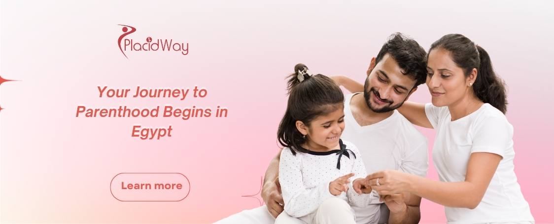 التلقيح الصناعي في مصر